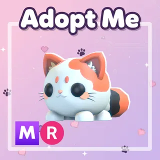 Mochi Meow MR