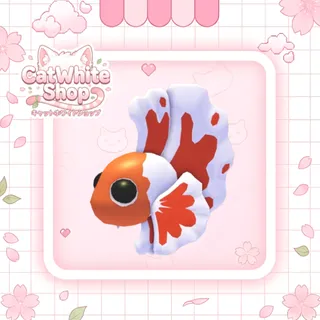 Orange Betta Fish
