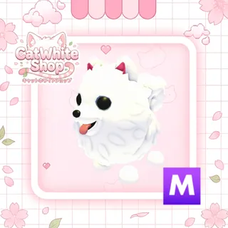 Mega Samoyed