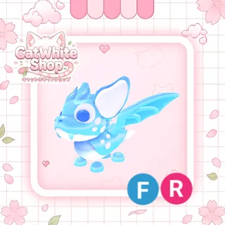 Arctic Dusk Dragon FR