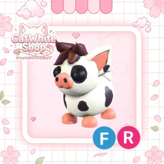 Mini Pig FR