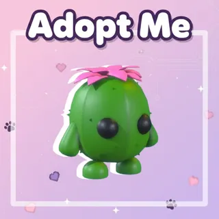 Cactus Friend
