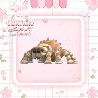Mummy Spider