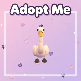 Swan