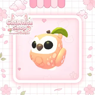 Peach Owl