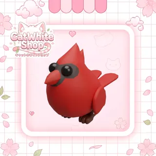 Red Cardinal