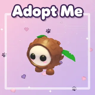 Coconut Friend