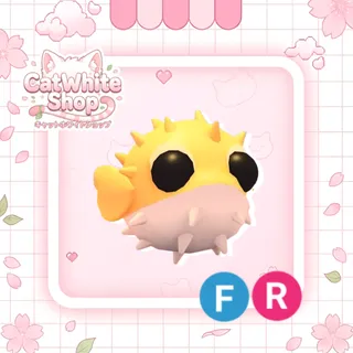 Puffer Fish FR