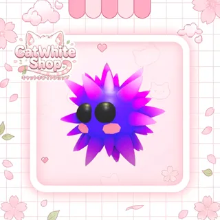 Urchin