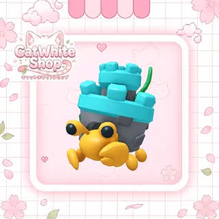 Castle Hermit Crab