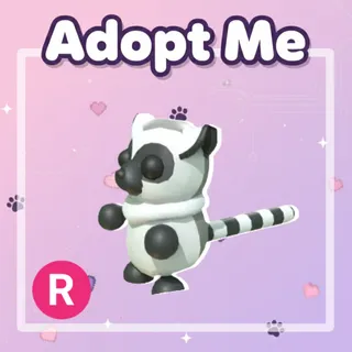 Ring-tailed Lemur R