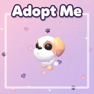 Mega Shih Tzu Bundle x2