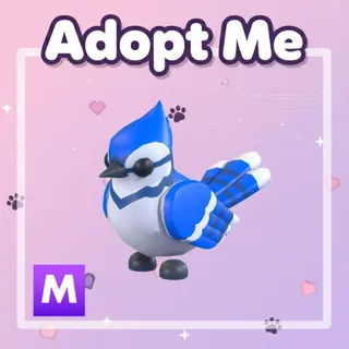 Mega Blue Jay 