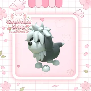 English Sheepdog
