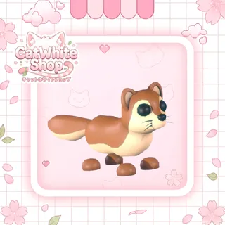 Mongoose