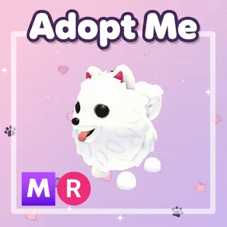 Samoyed MR