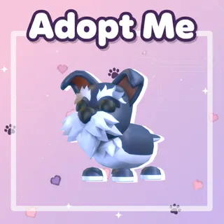 Mini Schnauzer