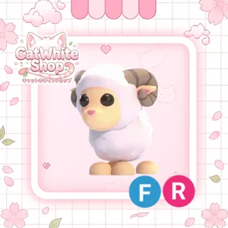 Ram FR