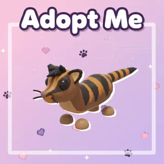 Banded Palm Civet