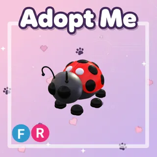 Ladybug FR