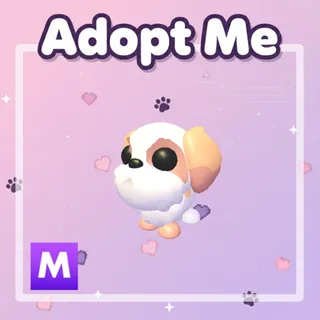 Mega Shih Tzu