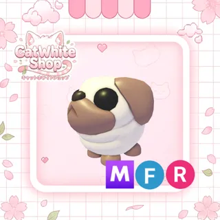 Snowball Pug MFR