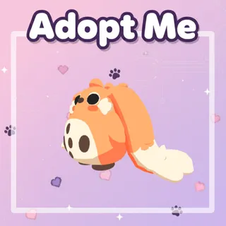 Cabbit FR