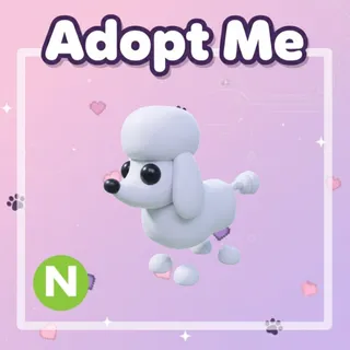 Neon Poodle