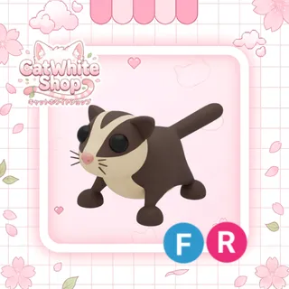 Sugar Glider FR
