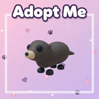 Otter