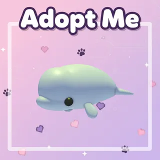 Beluga Whale
