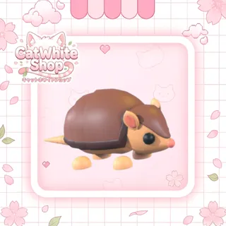 Armadillo