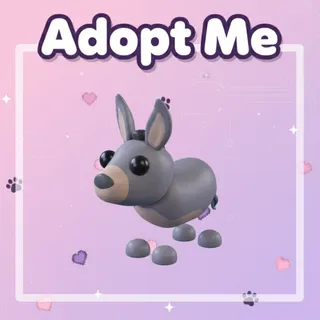 Donkey