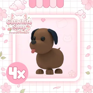 4x Chocolate Labrador