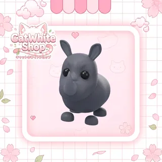 Rhino