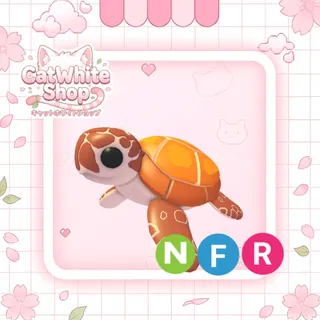 Sea Turtle NFR