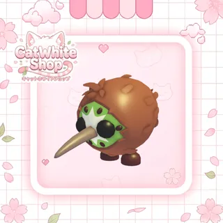 Kiwi Kiwi