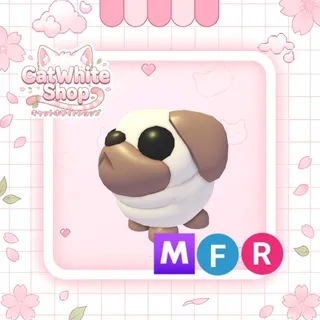 Snowball Pug MFR