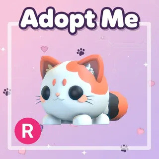 Mochi Meow R