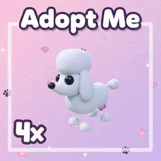 4x Poodle