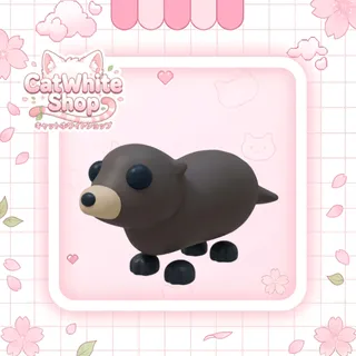 Otter