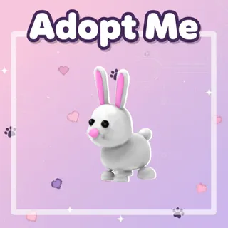 R Rabbit | Adopt Me