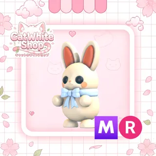 White Choccybunny MR