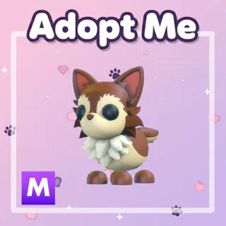 Mega Chihuahua