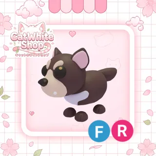 Tasmanian Devil FR