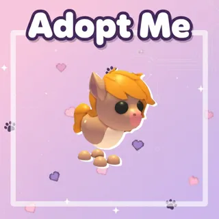 Show Pony