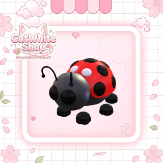 Ladybug