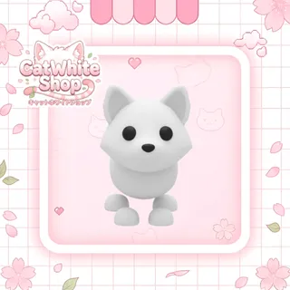 Arctic Fox