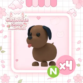 4x Neon Chocolate Labrador