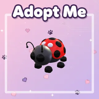 R Ladybug